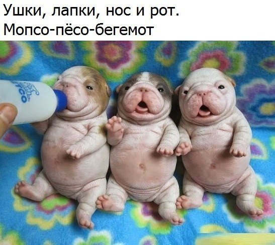 image (1)