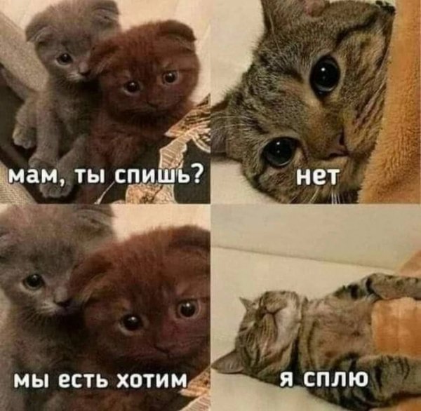 IMG 20250321 090912 859