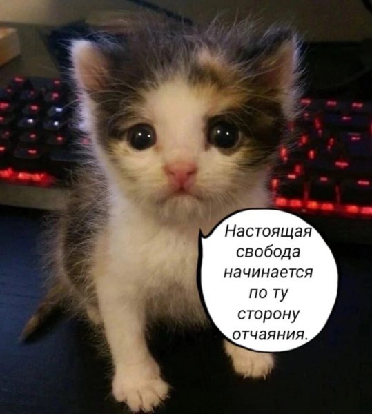 picture_412697169