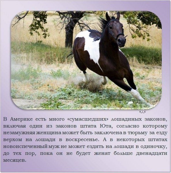 Это интересно