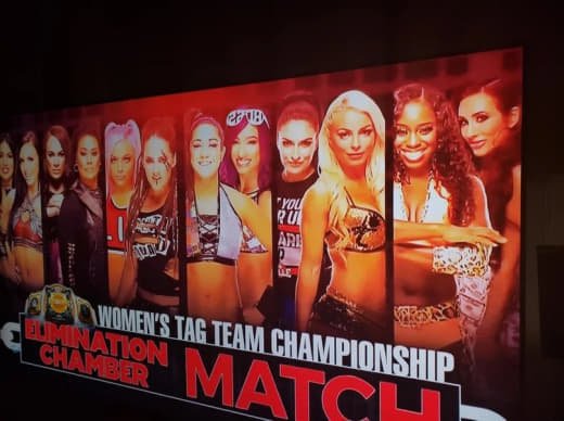 Wwe (218)