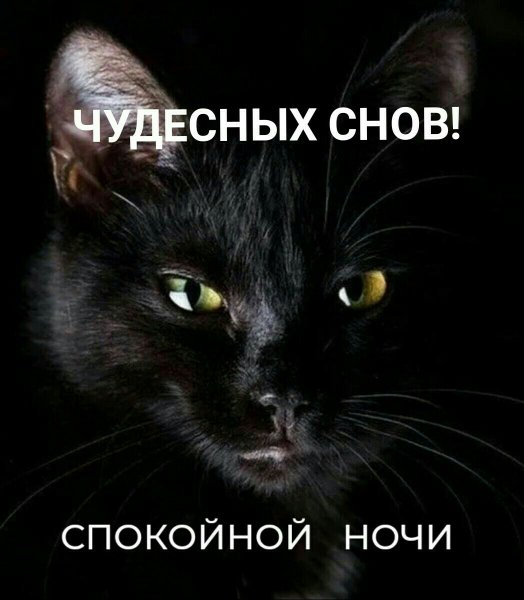 Всем!