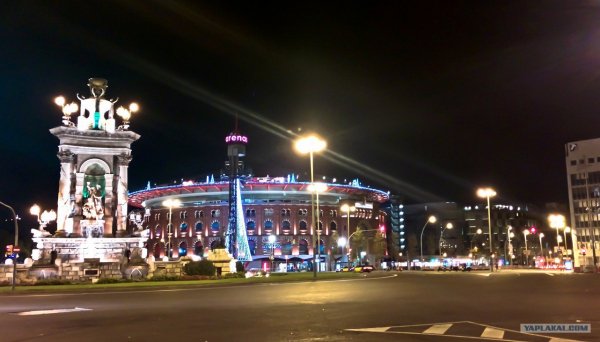 picture_92988816