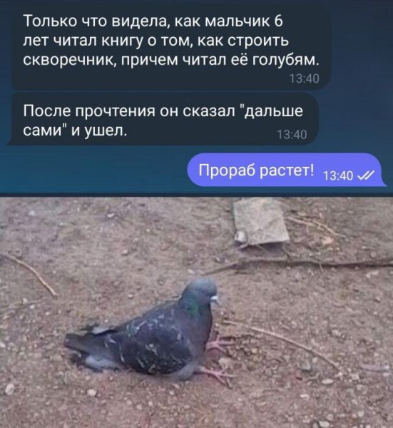 Otbornyj-jumor-v-kartinkah-i-memah-s-nadpisjami-21