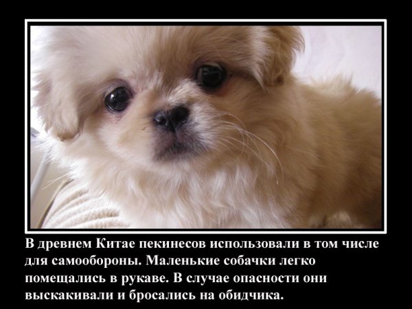 Это интересно