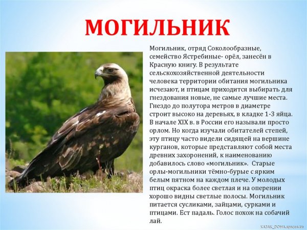 Могильник