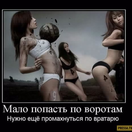 picture_237723569