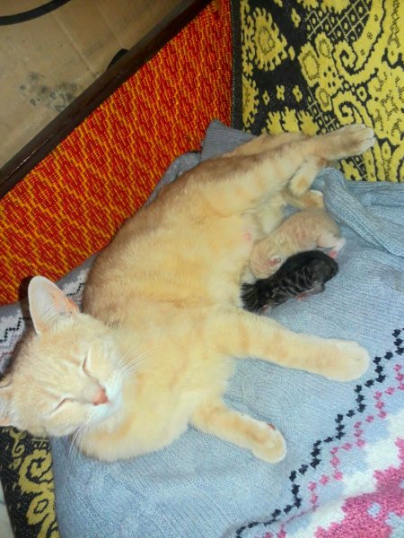 IMG 20250504 193426 943