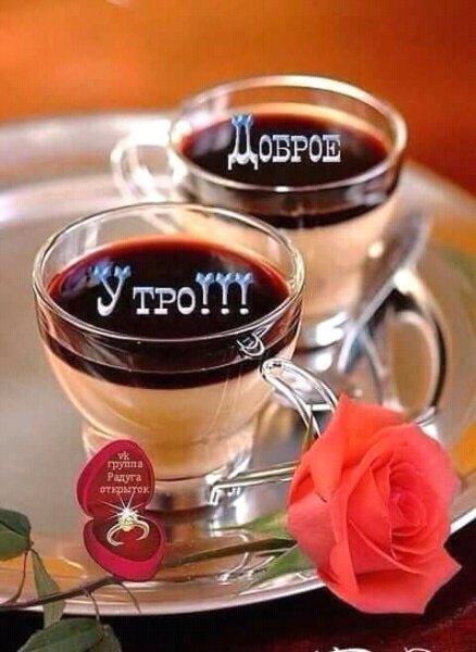 FB IMG 15245857077529046