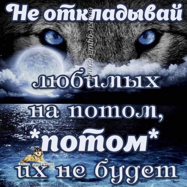 14-41-50-201173425 306616731137869 4336990088043457703 n
