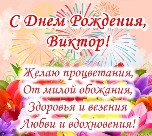 Viknor 56 (1)