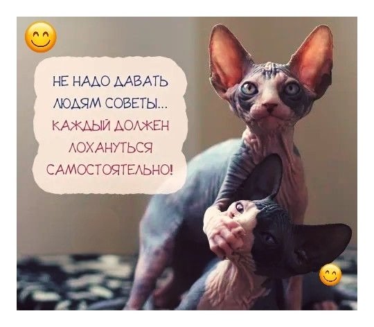 XznmOjjtw00