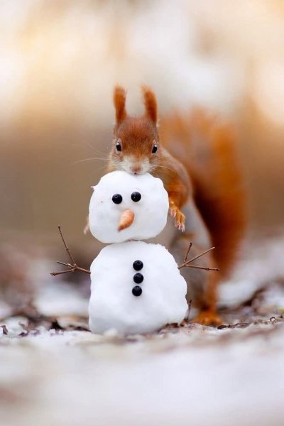 ce0b554ad2a57b885a9432aec8a12