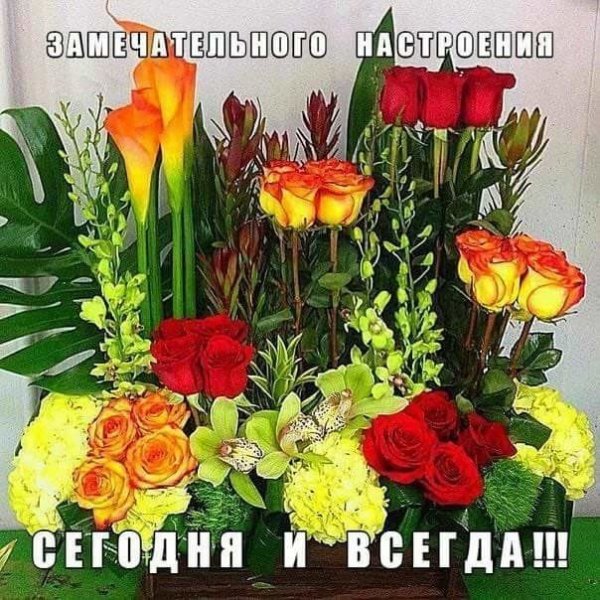 замечательного настроения сегодня и всегда))}
