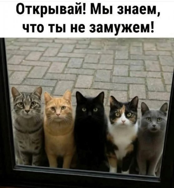 DitscKkdVencbkd1UfML5HG6HF70xBIz4Ts5obncv6 Ut6cYlW06ZNCHJr3