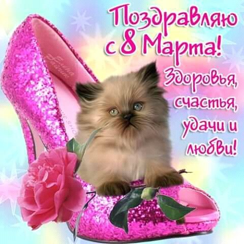 FB IMG 15205069903824420