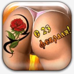 picture_161581499