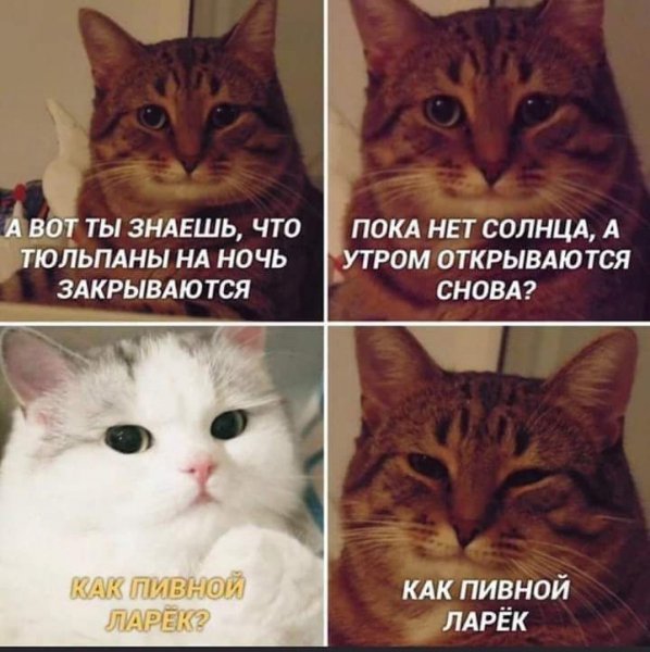 Как пивной ларёк