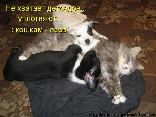 Опаньки!