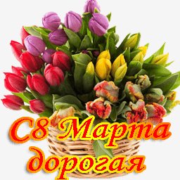 picture_162809858