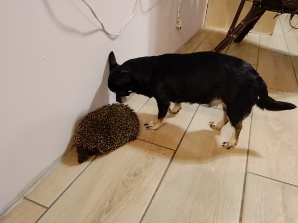 picture_412707401