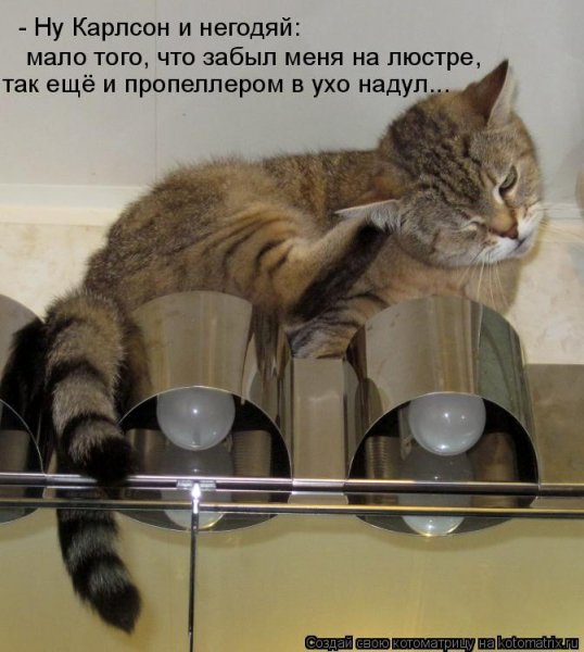 В ухо надул...