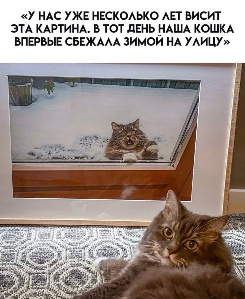 picture_407397317