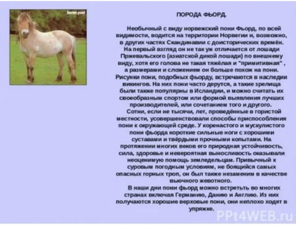 Порода фьорд