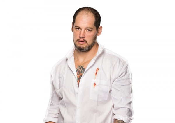 Wwe (475)