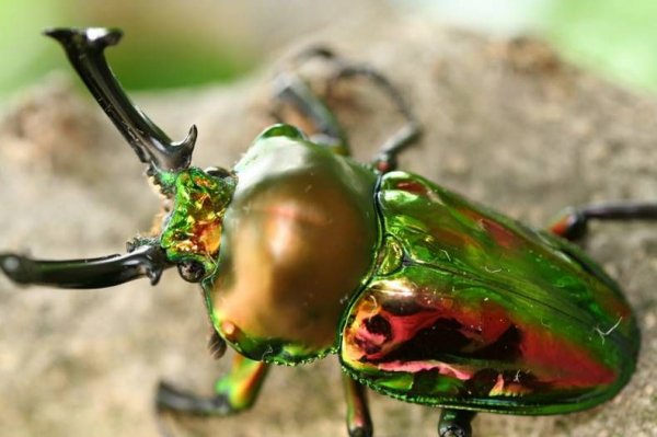 B051138853ad34f3b5012981b1c03b2a