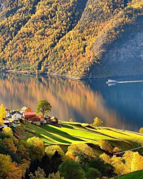 FB IMG 1611762159041