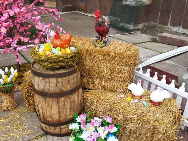 FB IMG 1619707475460