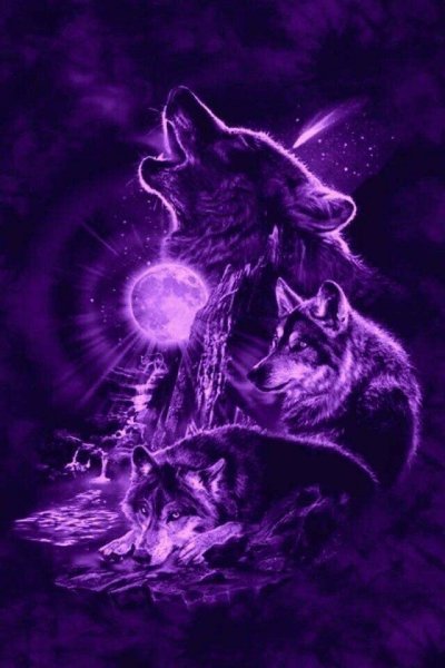 c62129b26eef237bc5a32625aaf74