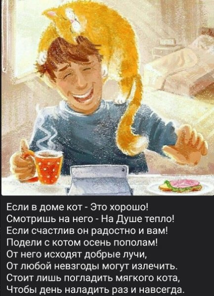 Осень пополам!