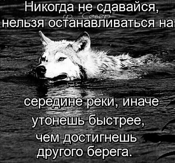 IMG 20220311 111034