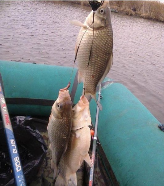 ПРИКОРМКИ НА КАРАСЯ