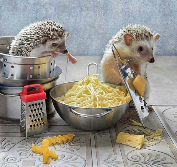 spaghetti-lovers-1