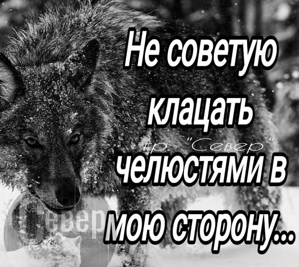 IMG 20220311 111317