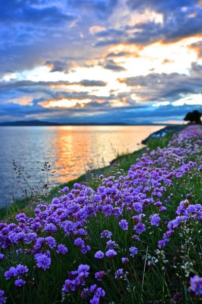 ff6d7b0966e79c6708039478343be