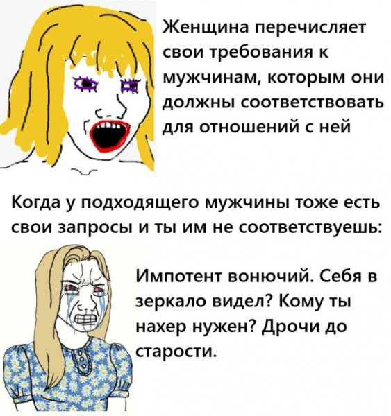 Memy4-2
