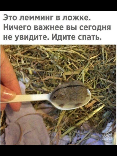 ))