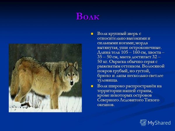Slide 7