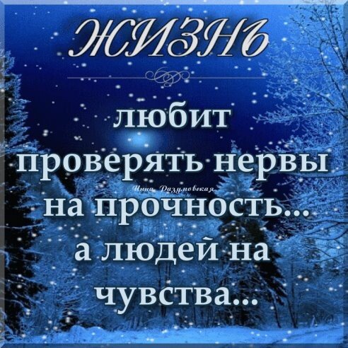 image (2) (6)
