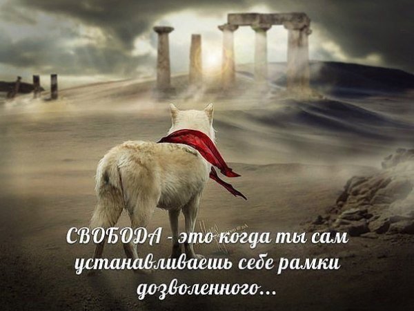 Свобода