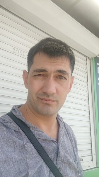 picture_387293893