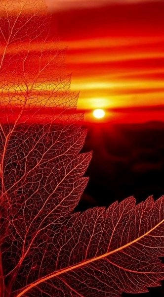 Арт Природа