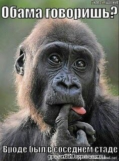 Где-то в Африке