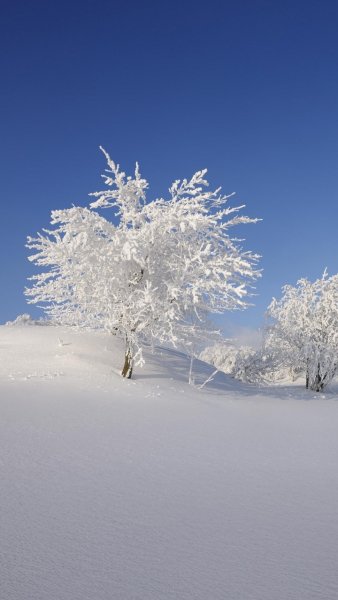 Screenshot 20260203-130621 One UI Home