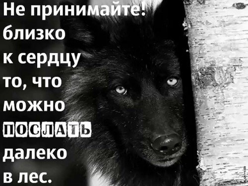 picture_166802872