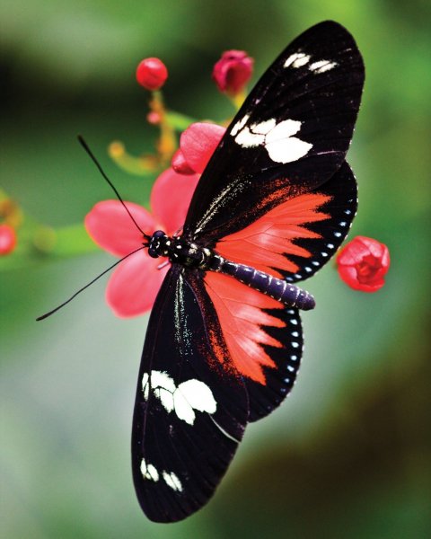IMG-b553fd9b678b3398ed579a480e5c0540-V